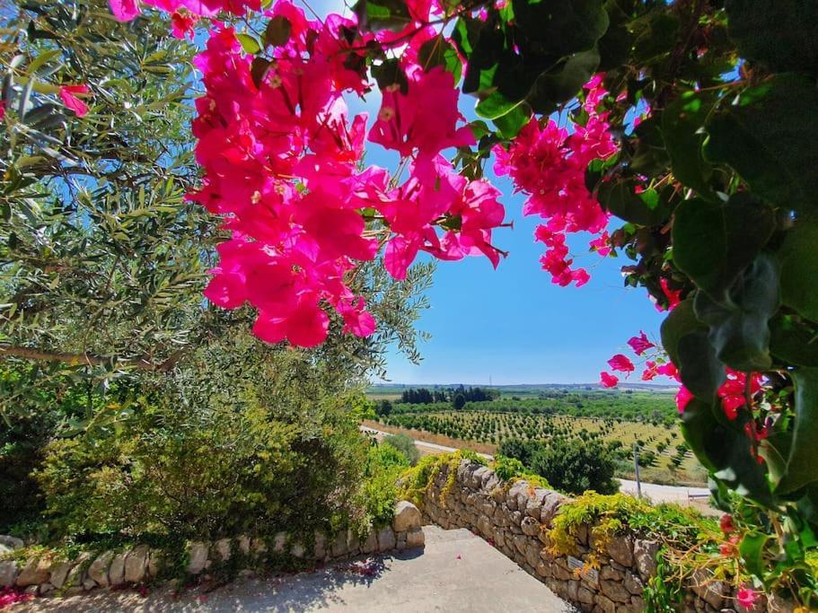 Villa Calma Noto Exterior foto